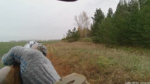 Охота на зайца в Республике Башкортостан