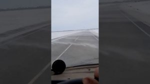 перевозка маленких телят.