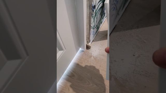 Завал стен + чудо каблучки смотреть онлайн