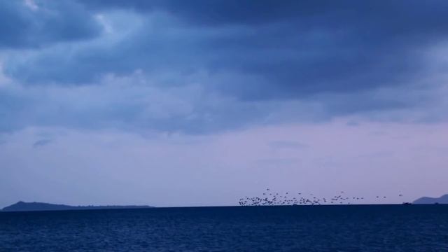 А на часах ноль-ноль смотреть онлайн