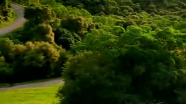 СТРАШНАЯ РЕКЛАМА !!! смотреть онлайн