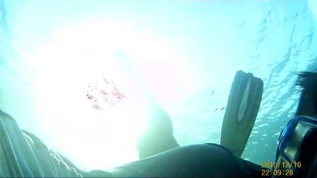 freedive and bubble ring || review b-cam underwater || action camera review || underwater camera смотреть онлайн