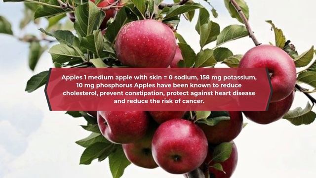 KIDNEY DIET / RENAL DIET "list of foods good for your kidney" смотреть онлайн