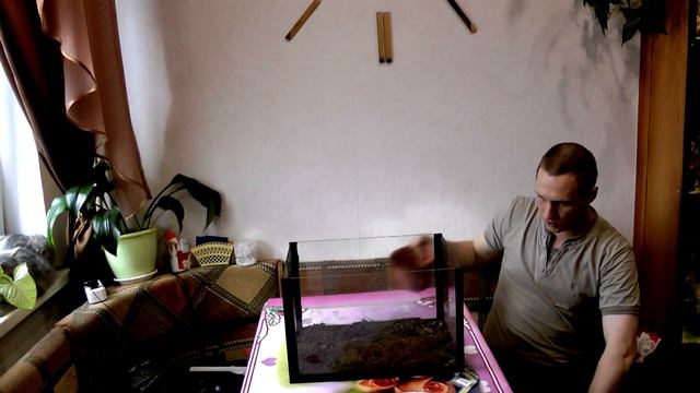 Трава с китая для аквариума первый пакетик( Grass with chinese for the aquarium) смотреть онлайн