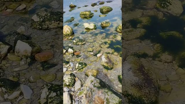 Новороссийск,весеннее путешествие по набережной города смотреть онлайн