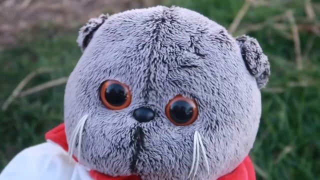 МИША ПРОПАЛ ! смотреть онлайн