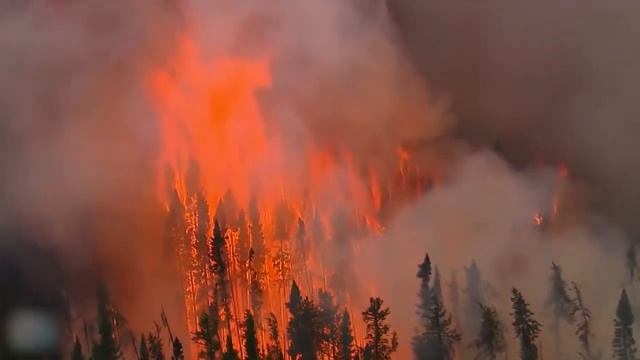 2020 "Дума Политологов" Агитролики" 2