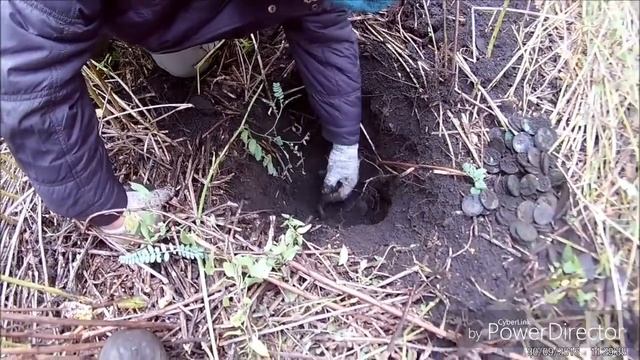 КЛАД МОНЕТ Горшок пятаков Часть 1 ОБРЕТЕНИЕ смотреть онлайн