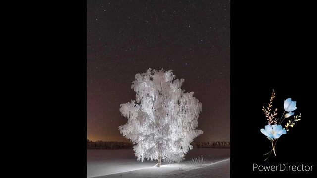 Timran - Тату #2020 смотреть онлайн
