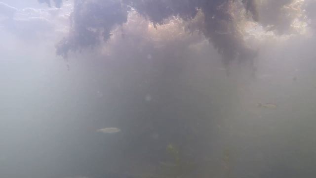 Щучье царство 03 06 2024 смотреть онлайн