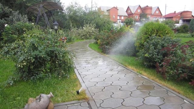 Полив 1 смотреть онлайн