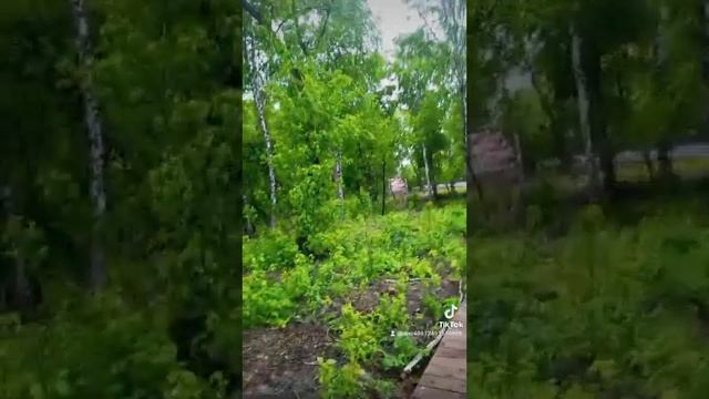 новая локация парк Каменка смотреть онлайн