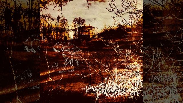 ITS ALL FALLING INTO PLACE! смотреть онлайн