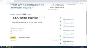 Python для начинающих очно (итоговая), модуль 1