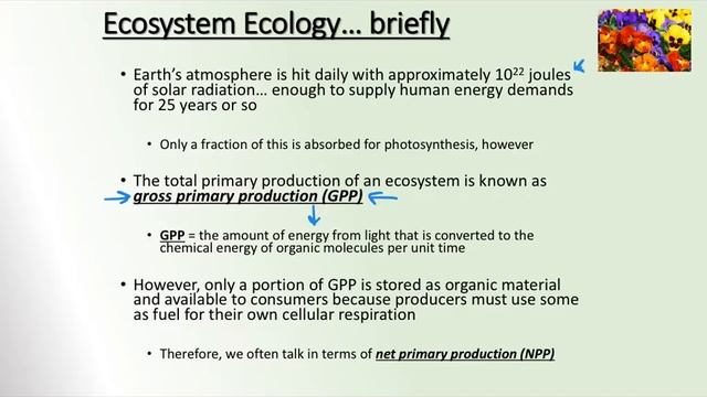 Pops, Ecosystems, Landscapes смотреть онлайн