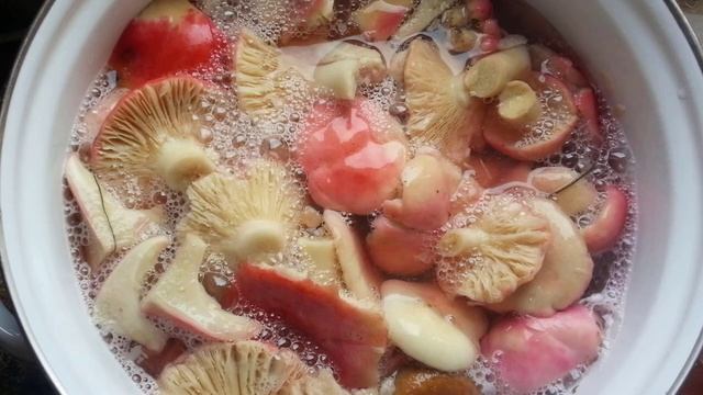 Как солить сыроежки в домашних условиях смотреть онлайн