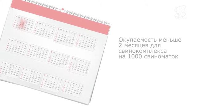 Contact O Max Russian