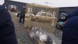 Жёлтые мелитопольские, белые николаевские голуби по 3000 на ярмарке голубей. Аксай. 鸽子 الحمام pigeon