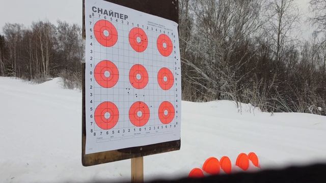 Стрельба из мелкашки на 100 м. смотреть онлайн