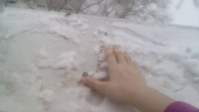Фокус!!! Со снегом смотреть онлайн