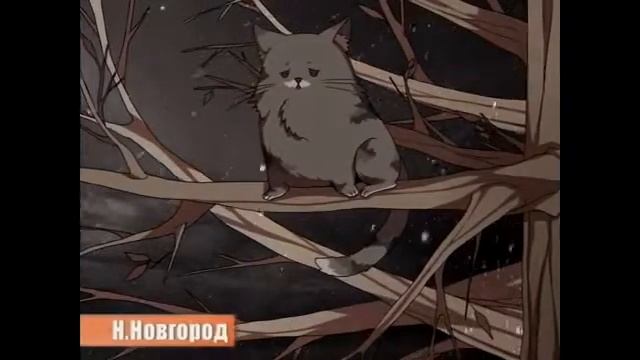 Enjoykin-Зато Я Спас Кота! смотреть онлайн