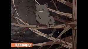 Enjoykin-Зато Я Спас Кота!