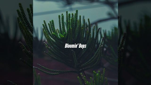 Background for Iced Double Americano смотреть онлайн