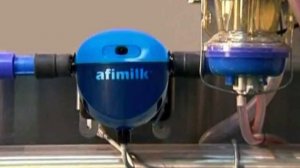 Afimilk Movie   Russian DiVX