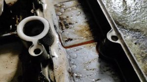 Отмываю шлам с деталей движка. Grass Motor Cleaner