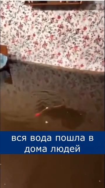 Рыбалка в квартире #shorts #новости смотреть онлайн