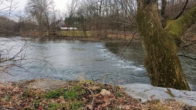 Watch This to Zen Out Your Day (Schumann Resonance 7.83 hz)✌🏿🙏🏿 смотреть онлайн