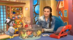 Спокойной ночи, малыши! - О морских звёздах