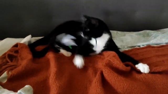 Эшли ищет дом смотреть онлайн