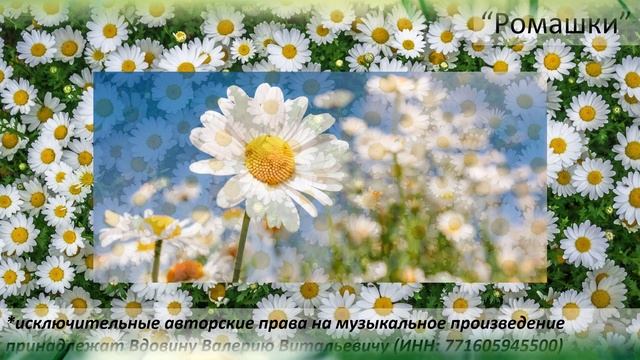Ромашки смотреть онлайн