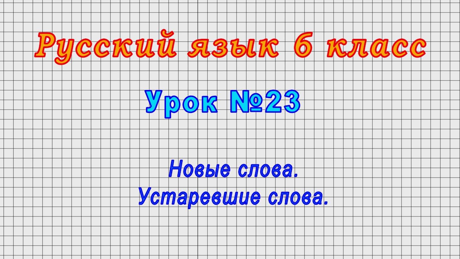 Русский язык 6 класс (Урок 23 - Новые слова. Устаревшие слова.) смотреть онлайн