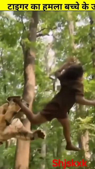 Tiger ke upar Hamla смотреть онлайн