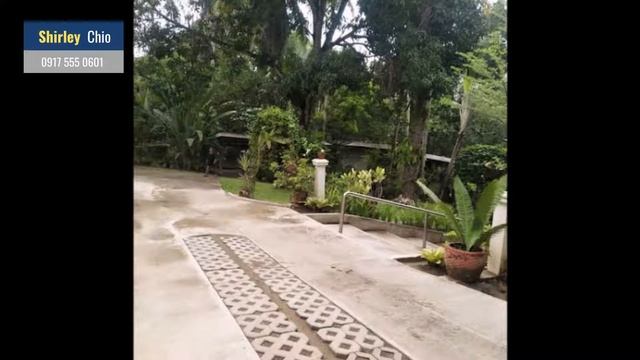 1 Hectare Lot for Sale in Talamban P10k per sqm Fenced Well Kept with a 2 Storey House| Shirley Chi смотреть онлайн