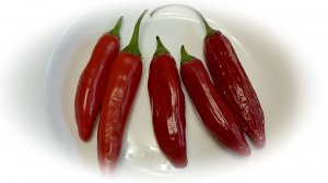 Перец Баккатум на даче и подоконнике -20024