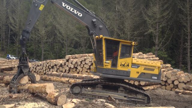 Volvo EC250DL Forestry Carrier product walk around смотреть онлайн