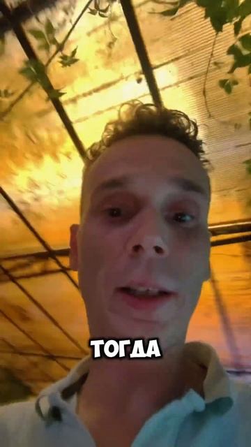 Бесплатный урок по правилам безопасности смотреть онлайн