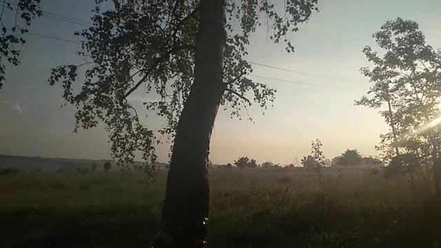 Деревня 2020 смотреть онлайн