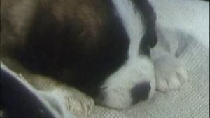 Ударная сила 42 серия (документальный сериал, 2002-2010)