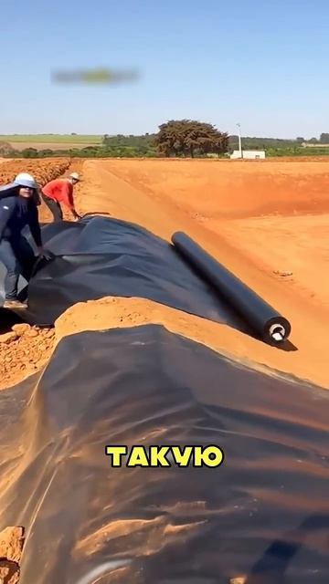 🔥Он сделал состояние на этом😱 смотреть онлайн