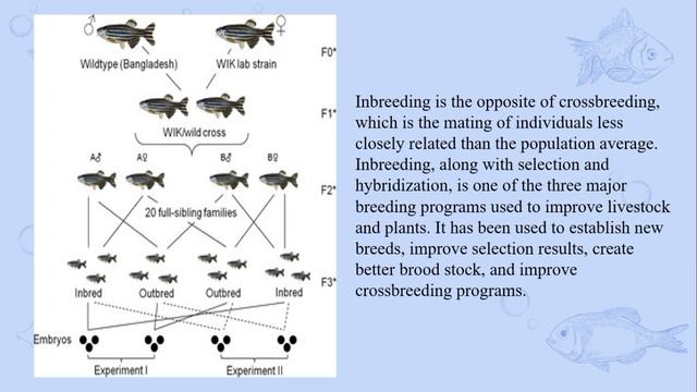 Group 4 Fish Elec. (Lecture) (ADLAWAN LOU WEAN D). (BORLA JHON JAYKO S.) (CUBE, EURICA SHANE) смотреть онлайн