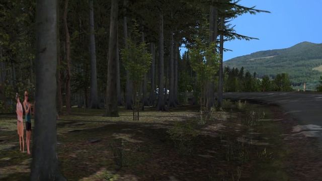 Richard Burns Rally Replay # Skoda Fabia R5 Evo @ Barak смотреть онлайн