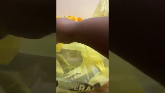 Dollar General Haul | New Finds! #dollargeneral #dollargeneraldeals #dg #haul #dghaul смотреть онлайн