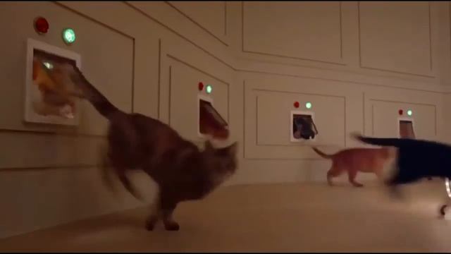 Кошачий Новый Год | Cat New Year смотреть онлайн