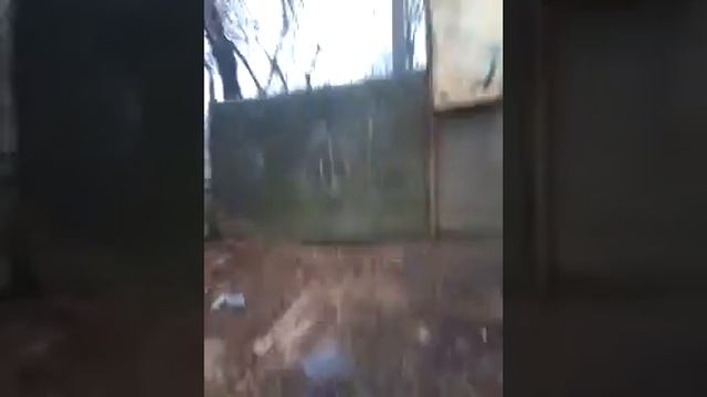 2 февраля 2019 г. смотреть онлайн