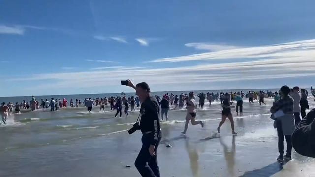 2020 Pelican Plunge in South Carolina смотреть онлайн