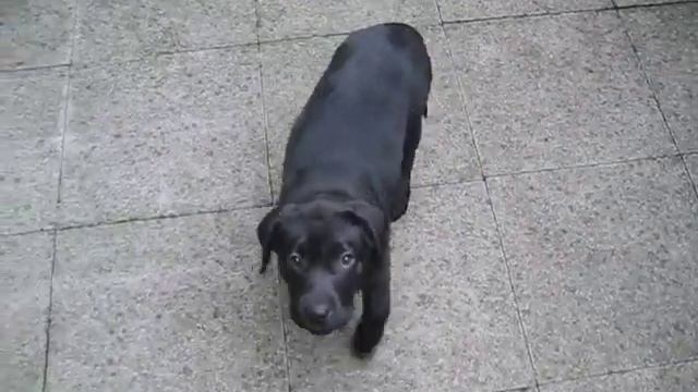 Olive 13 weeks смотреть онлайн